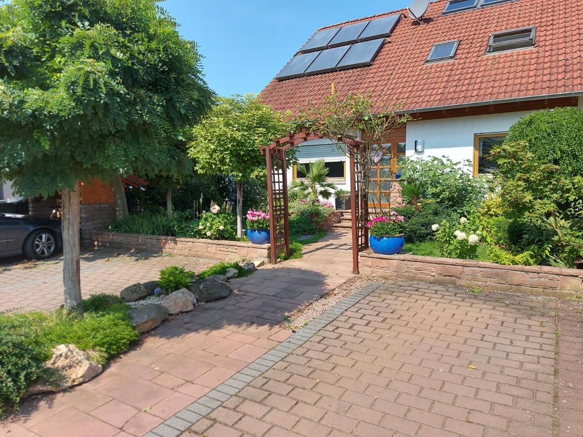 Apartment De Luxe 73 Qm Mit 3 Zimmer Und Terrasse Einhausen  外观 照片